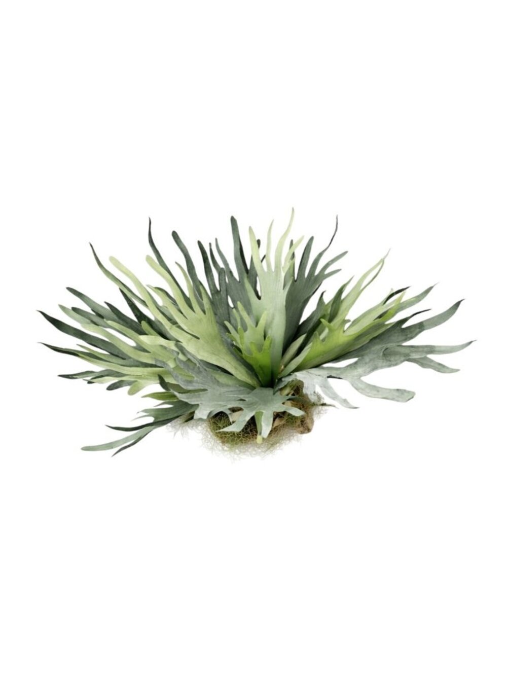 Artificial Staghorn Fern Wall Decor Large Faux Fern Hanging Basket Botanical